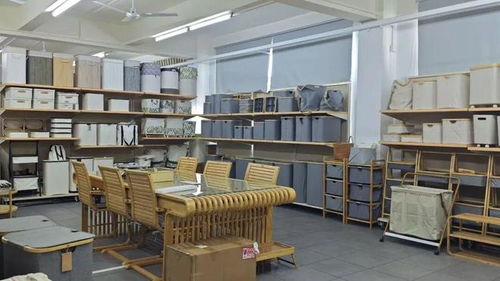 跨交会归来 濠江纸盒企业带回订单与转型新密码